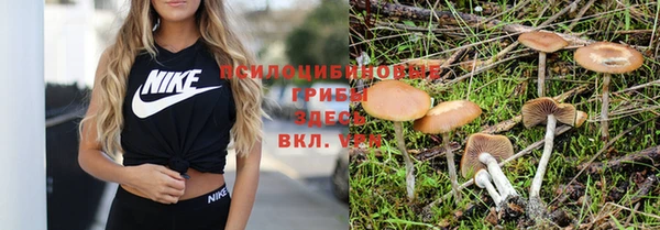 бошки Беломорск
