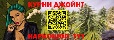 дмт Малгобек