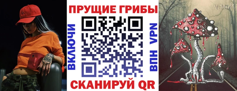 МЕГА ONION  Армавир  Галлюциногенные грибы Psilocybine cubensis 